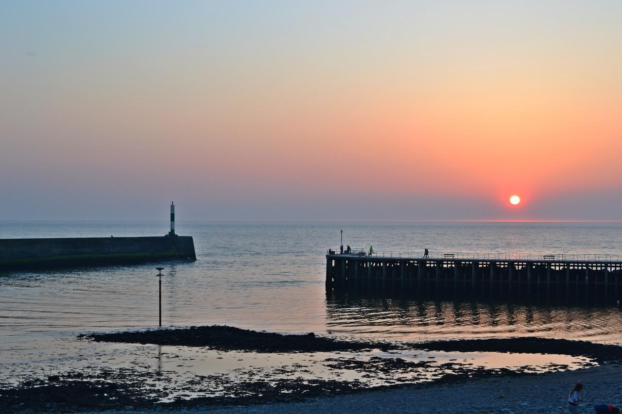 Cardigan Bay Self Catering Accommodation Aberystwyth Exteriör bild