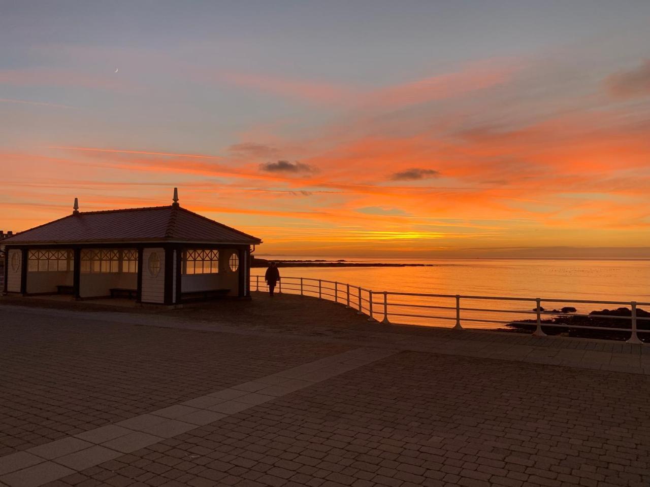 Cardigan Bay Self Catering Accommodation Aberystwyth Exteriör bild