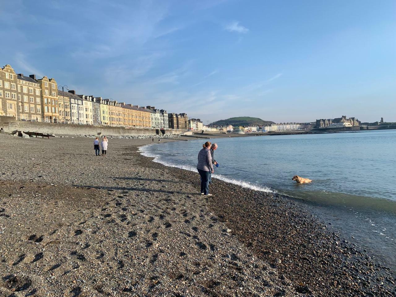 Cardigan Bay Self Catering Accommodation Aberystwyth Exteriör bild